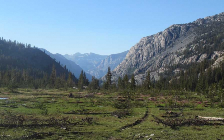 A trail winds through a grassy alpine meadow. There are evergreen trees and vast mountains in the background. 